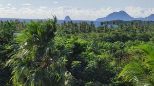 Une forêt luxuriante avec des montagnes en arrière-plan dans l'établissement Résidence Frangipaniers, à Sainte-Anne