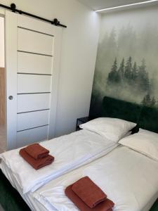 Posteľ alebo postele v izbe v ubytovaní Z Widokiem Apartamenty Świerkowe 10