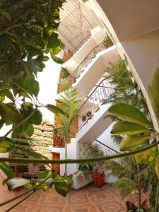 un escalier en colimaçon dans une maison ornée de plantes dans l'établissement Sumaq Dreams Ayacucho, à Ayacucho