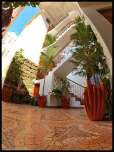 Fotografie z fotogalerie ubytování Sumaq Dreams Ayacucho v destinaci Ayacucho
