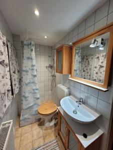 La petite salle de bains est pourvue d'un lavabo et de toilettes. dans l'établissement Gästewohnung " Am Harsdorf ", à Magdebourg