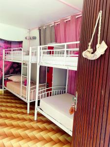 - 2 lits superposés dans un dortoir aux murs roses dans l'établissement Auberge K-WAN Hostel, à Deshaies