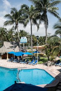 a swimming pool with chairs and palm trees at Hotel Jaragua in Veracruz