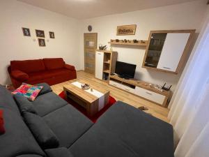 a living room with a couch and a television at Apartmán DoMa - Tatranská Lomnica in Tatranská Lomnica