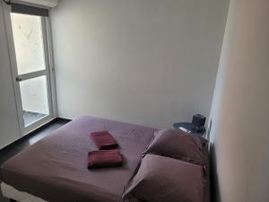 um quarto com uma cama com duas almofadas e uma janela em Le 9ème étage du bonheur em Pointe-à-Pitre