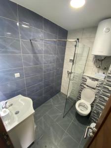 La salle de bains est pourvue de toilettes, d'un lavabo et d'une douche. dans l'établissement Apartman LED-Treska, à Kopaonik