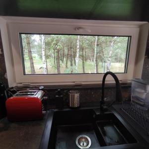 Kuchyňa alebo kuchynka v ubytovaní Ślusarnia-domek z sauną nad jeziorem, Kaszuby