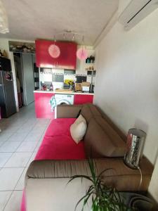 een woonkamer met een bank en een roze keuken bij Cannet le lac in Le Cannet