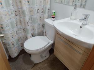 TinyApartments - estudio pleno centro Concepción的一间浴室