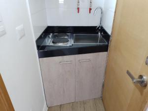 康塞普西翁TinyApartments - estudio pleno centro Concepción的带炉灶和水槽的小厨房