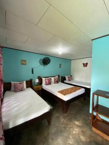 two beds in a room with blue walls at Chinitas Eco Lodge in Tortuguero