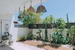 a backyard with plants and pendant lights at ‘The Lumos’ Designer home Close to Olympic Park in Sydney