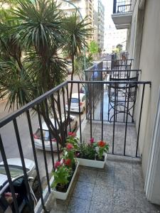 un balcón con macetas y palmeras en una calle en DESCANSO IDEAL CENTRICO "Con patio y balcón" en Mar del Plata