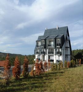 een zwart-wit huis bovenop een heuvel bij Sunny Woods Apartment in Divčibare