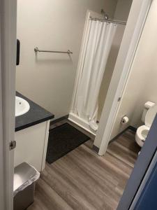 La salle de bains est pourvue de toilettes, d'un lavabo et d'une douche. dans l'établissement Modern 1 BR APT w/ Pool, Tennis court, Wi-Fi, & AC, à Monroeville