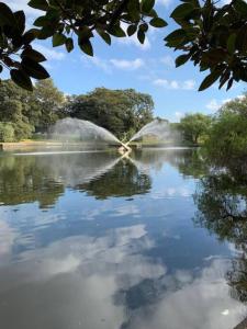 Blick auf einen Teich in einem Park in der Unterkunft The Pavilion End - Central Paddington Apartment in Sydney