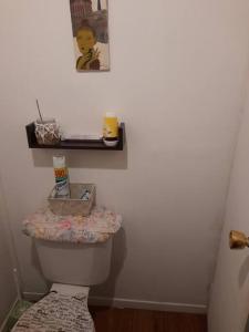 a bathroom with a toilet with a shelf on the wall at Agradable Cabaña campestre a 7 minutos de Osorno in Osorno