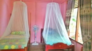two beds with mosquito nets in a pink room at Hollow Trees Surf Camp Katiet front front Hollow tree,Lance Right,Lance right,Bintang wave in Katiet