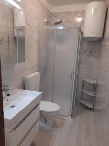 e bagno con doccia, servizi igienici e lavandino. di Apartments Tonka a Kustići