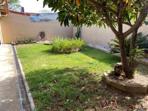 un patio con un árbol y un poco de hierba en Casa Camino Luna Private Rooms, en Liberia