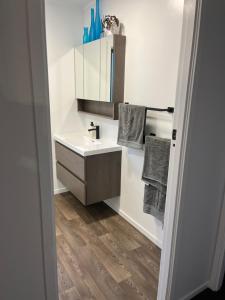 a bathroom with a sink and a mirror at Cozy 2 bedroom with room for a boat in Paihia