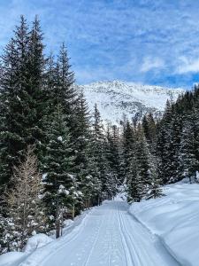 Alpenheim Simone v zime