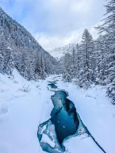 einen schneebedeckten Fluss in einem schneebedeckten Wald in der Unterkunft Alpenheim Simone in Sölden