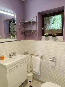 baño con lavabo y aseo y ventana en Gîtes Périgord Rocamadour Sarlat Gourdon naturiste de juin à sept, en Salviac
