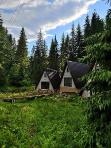 una casa en medio de un campo con árboles en Alpiyske Shale, en Yablunytsya
