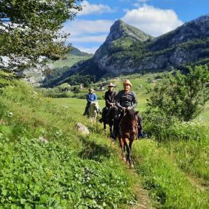 Gostje med bivanjem v nastanitvi Katun Mokra accommodation & horseback riding