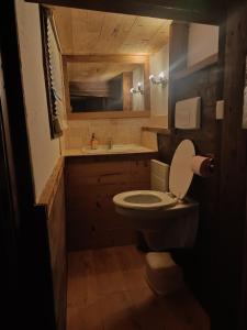 La petite salle de bains est pourvue de toilettes et d'un lavabo. dans l'établissement Three Bedroomed Chalet Apartment, à Chamonix-Mont-Blanc