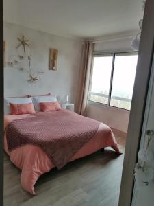 a bedroom with a pink bed and a window at LAPAUSEDEGOUT piscine table d'hôtes chambres climatisées terrasse ou patio in Lachapelle-Auzac