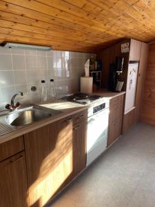 uma cozinha com um lavatório e um fogão em Haus zur Erholung em Stalden