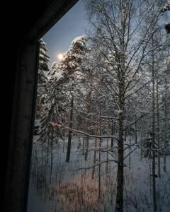 Room in Polar Circle v zimě