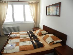 een slaapkamer met 2 bedden en een raam bij Hotelový dům Areál in Ostrava