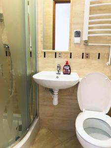 a bathroom with a toilet and a sink and a shower at Pokoje Gościnne Letycja in Biały Dunajec