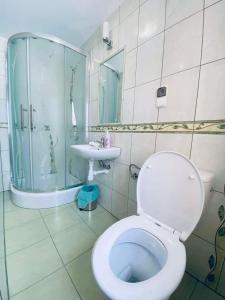 uma casa de banho com um WC, um chuveiro e um lavatório. em Pokoje Gościnne Letycja em Biały Dunajec