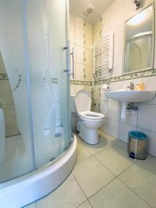 a bathroom with a toilet and a sink and a shower at Pokoje Gościnne Letycja in Biały Dunajec