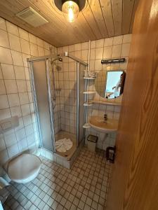een badkamer met een douche, een toilet en een wastafel bij Mike‘s Mosel Lodge in Treis-Karden