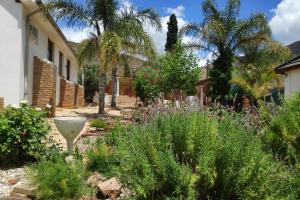 a garden in front of a house with palm trees at La Chapelle - The Apartment in Montagu