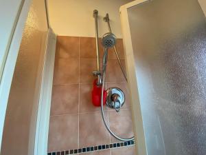 a shower in a bathroom with a fire extinguisher at Matrioska House B&B in Imola