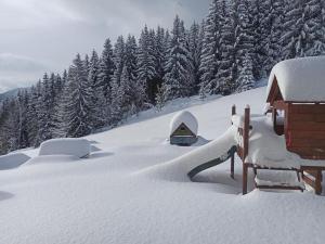 una casa cubierta de nieve junto a una cabaña en Chata Ťapka, en Dolní Malá Úpa