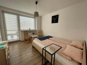 a bedroom with a bed and a table and a desk at Willa Hektor in Szklarska Poręba