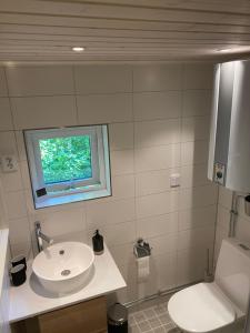 a bathroom with a sink and a toilet and a window at Spjutås Gård in Öxabäck