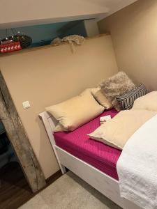 a small bedroom with a bed with pillows on it at kleines Harz-Chalet in Neuwerk