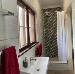 a bathroom with a sink and a shower with red towels at Dome Home Accommodation in Nelspruit
