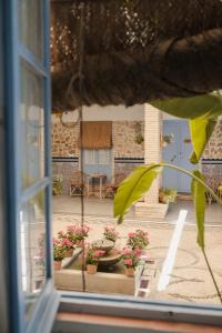 コルドバにあるCASA SIRFANTASの鉢植えの植物が植えられたパティオの景色を望む窓