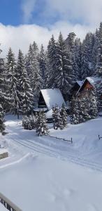 una cabaña en medio de un bosque cubierto de nieve en Apartmani Porodica Karalić Vlašić, en Vlašić