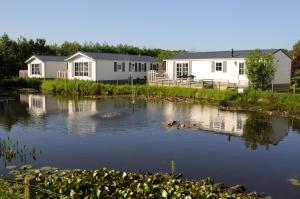 un par de patos en el agua frente a las casas en Vakantiepark Dennenoord en Den Burg