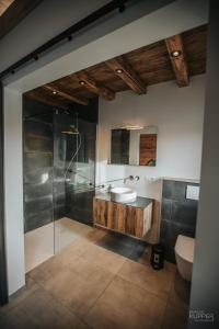 a bathroom with a shower and a sink and a toilet at # A Mont Nos'Hôtes in Malmedy